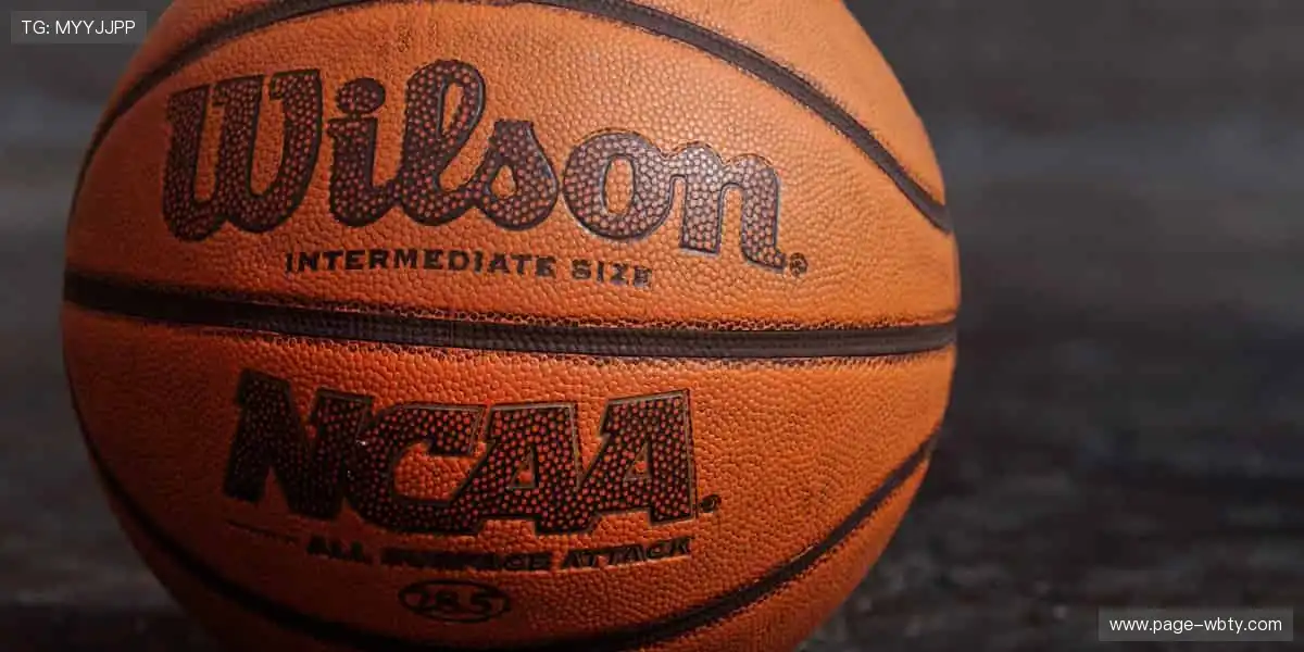 金蟾捕鱼手机版：手机上捕捉金蝉，随时随地财源广进